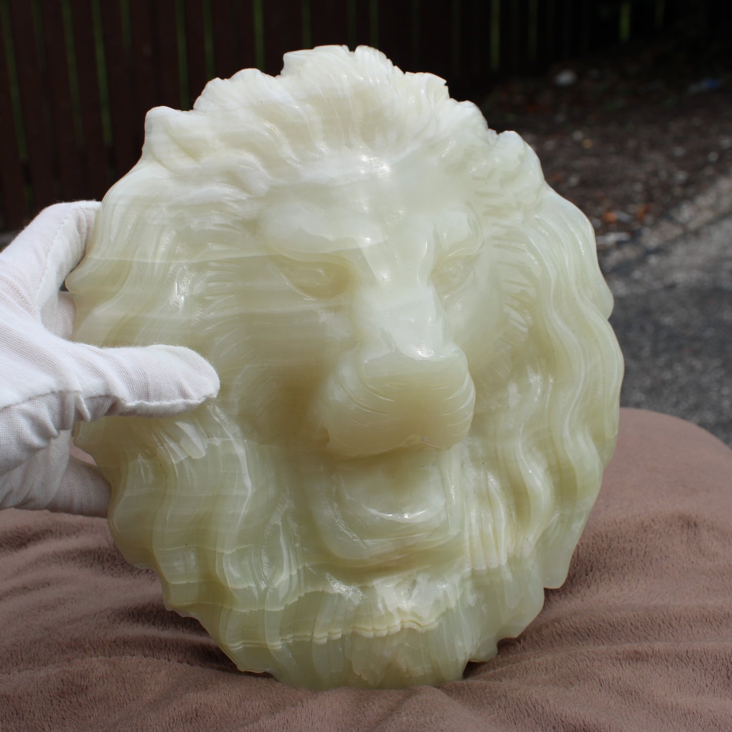 Afganistan Jade Lion head crystal Statement calcite carved sculpture held in gloved hand