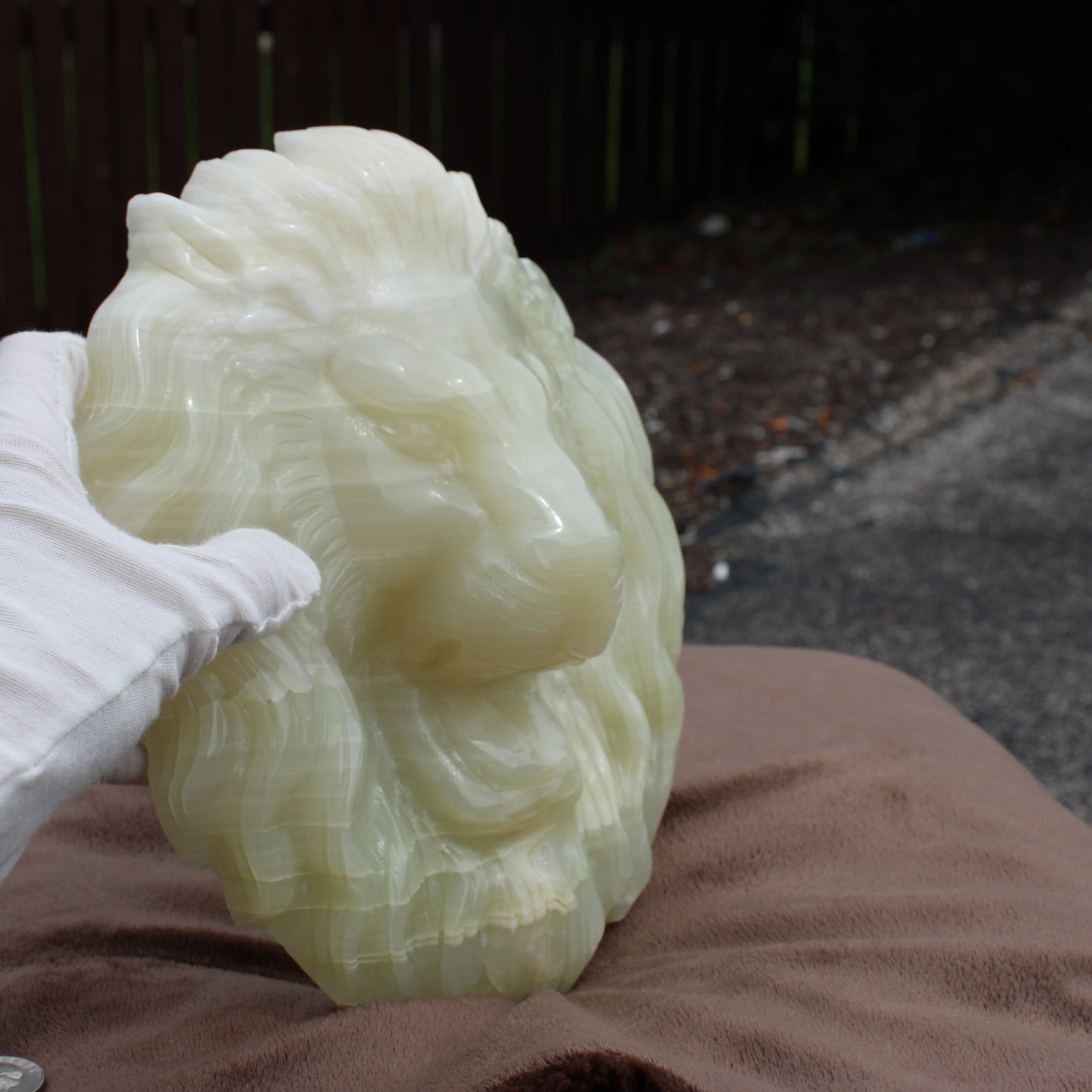 Afganistan Jade Lion head crystal Statement calcite sculpture held by gloved hand