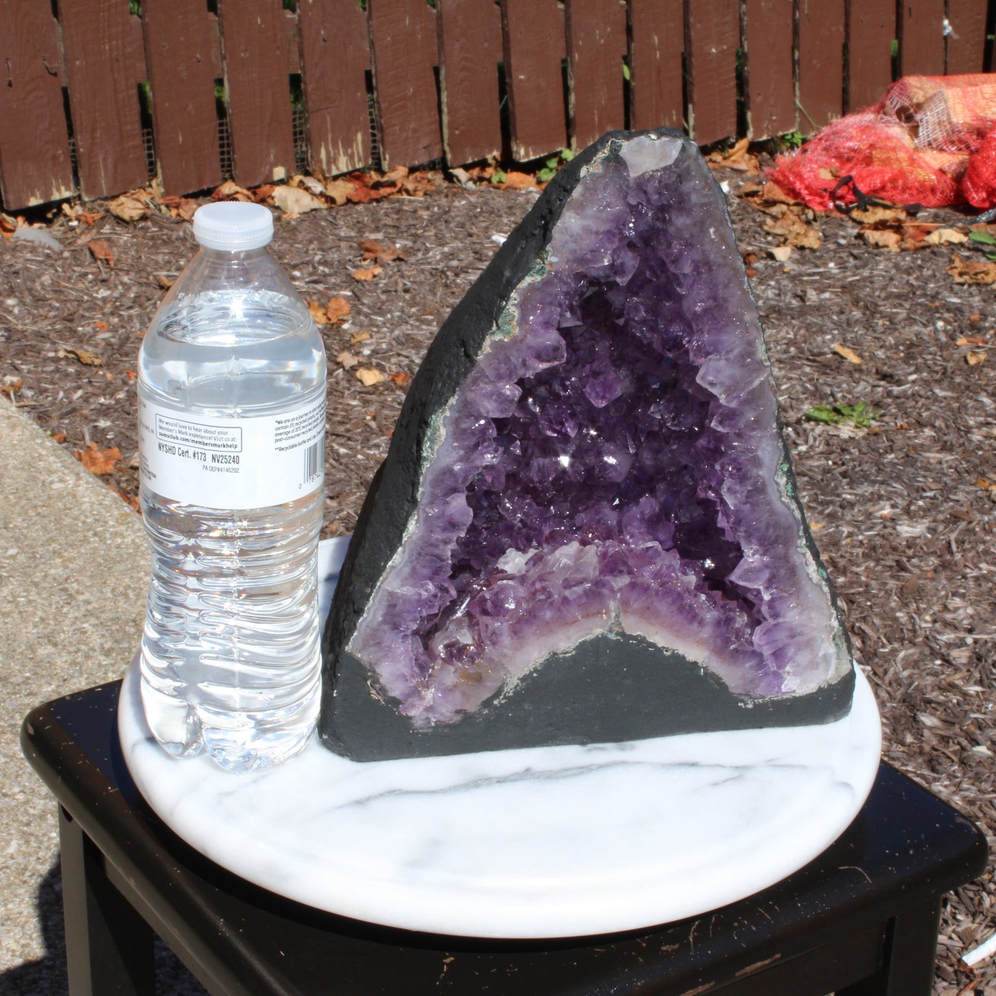 Amethyst Cathedral Geode Display Piece with Deep Purple Crystals Next to a Water Bottle for Size Reference