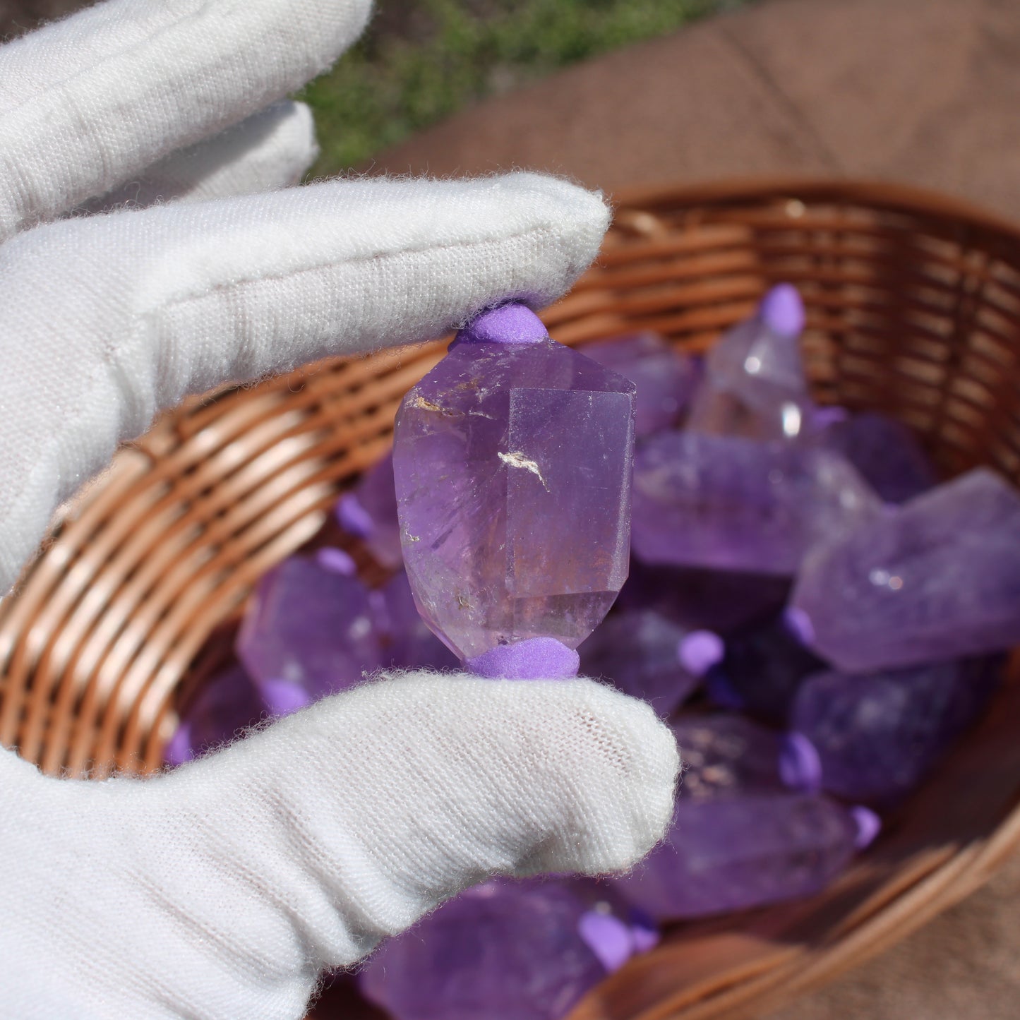 Amethyst double points held in a gloved hand, showcasing their rich purple hues and natural clarity