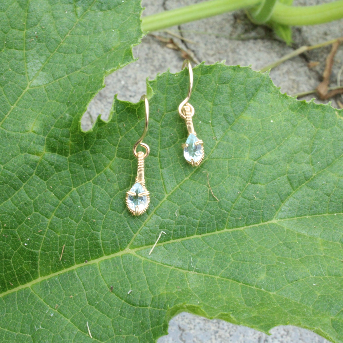 Elegant aquamarine gold fill earrings dangling on a green leaf for a natural look