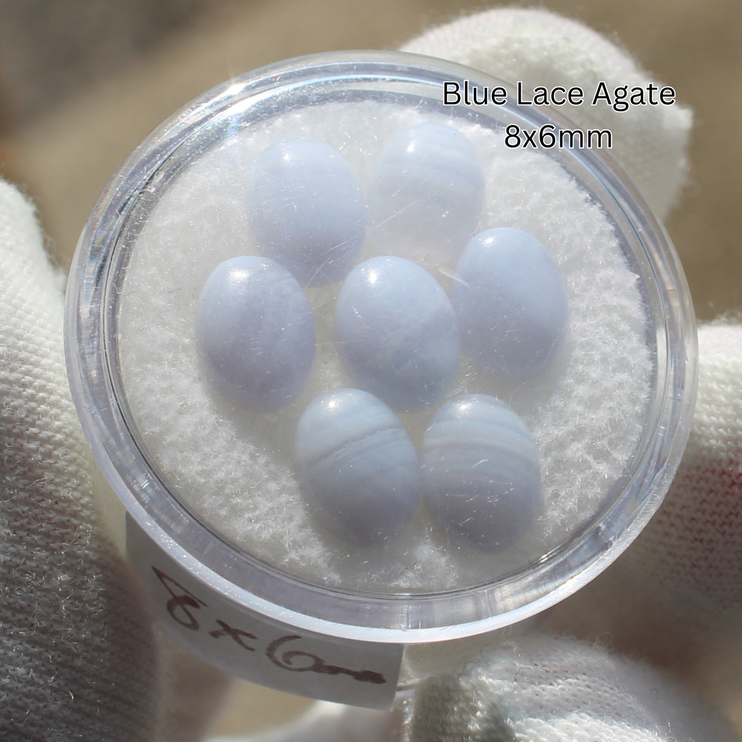 Blue lace agate 8x6mm oval cabochons in clear round box on white pad held by glove Made to order rings
