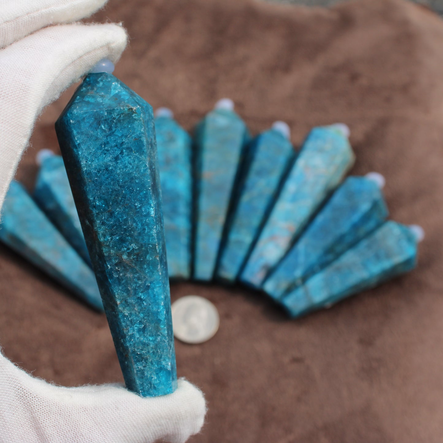 Blue Apatite Wand held in gloved hand with more Blue Apatite Wands fanned out on brown surface
