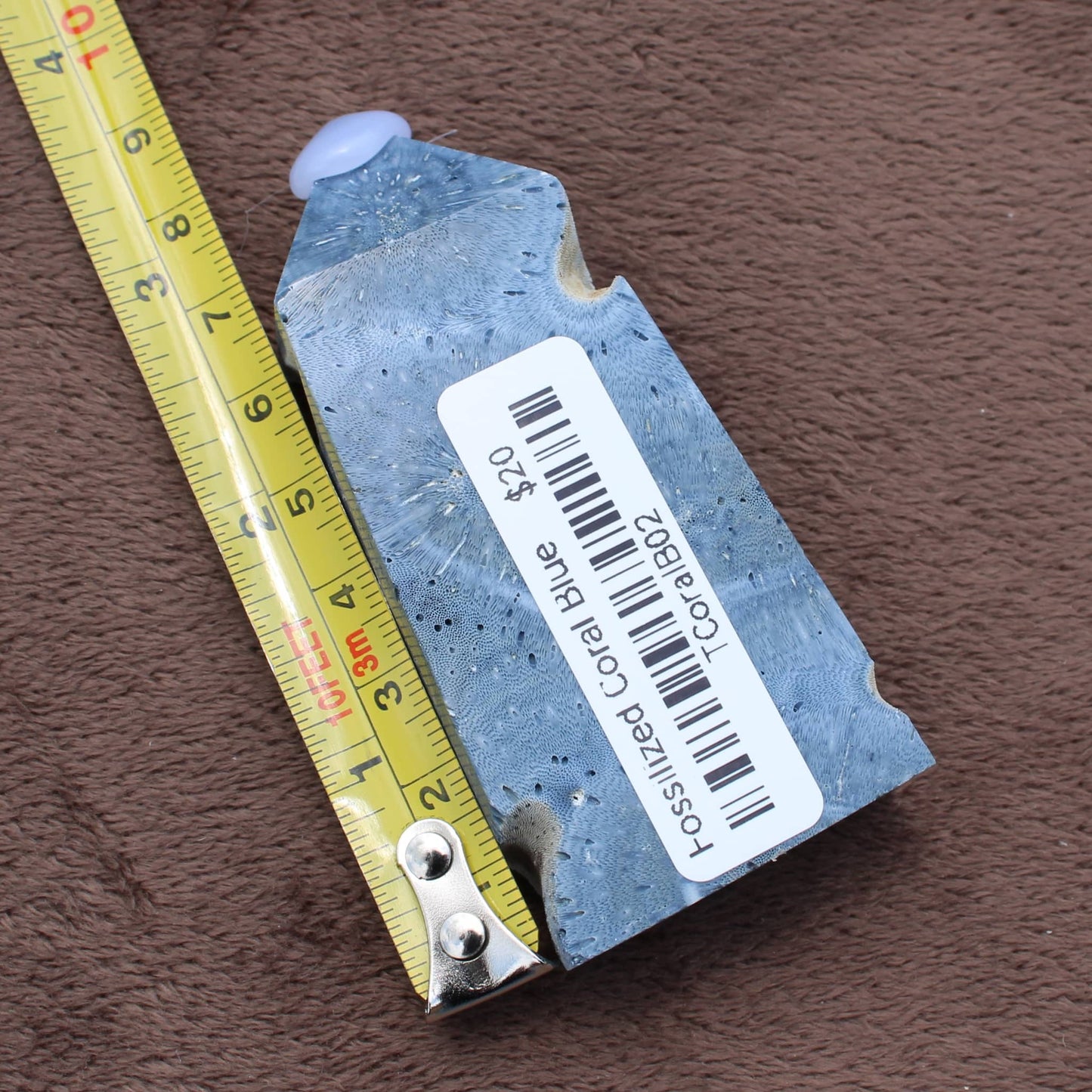 Blue Fossilized Coral Tower crystal from Different Branches LLC placed beside yellow measuring tape