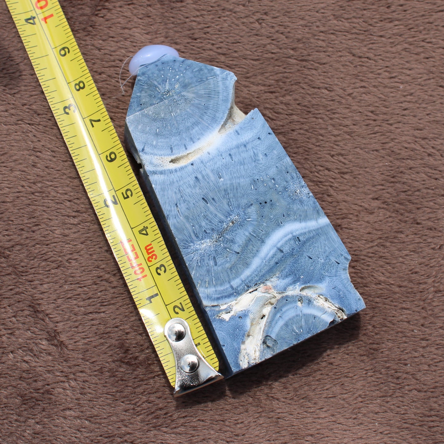 Blue Fossilized Coral Tower crystal next to measuring tape showing size on brown fabric