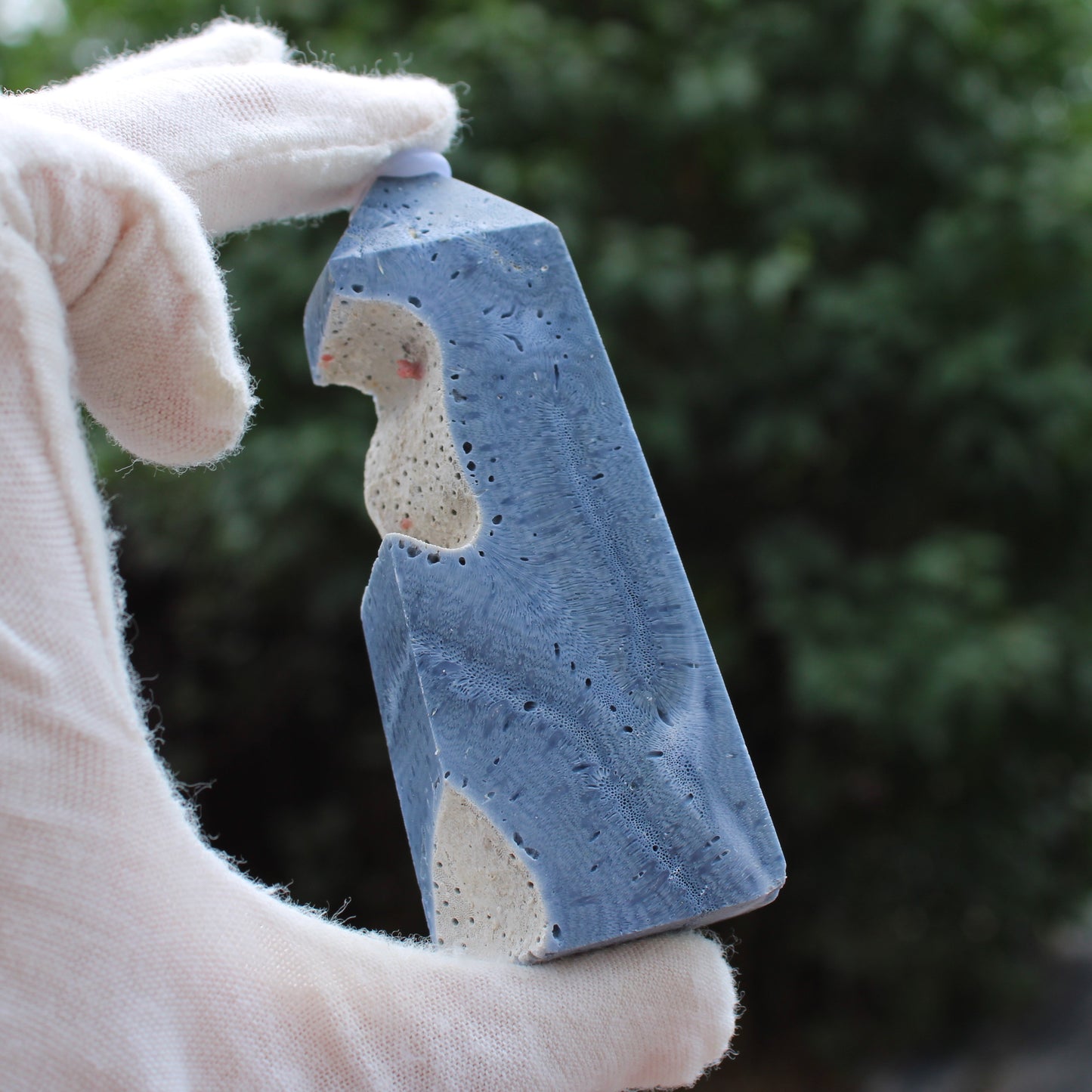 Blue Fossilized Coral Tower crystal held in gloved hand showing natural texture and detailed patterns
