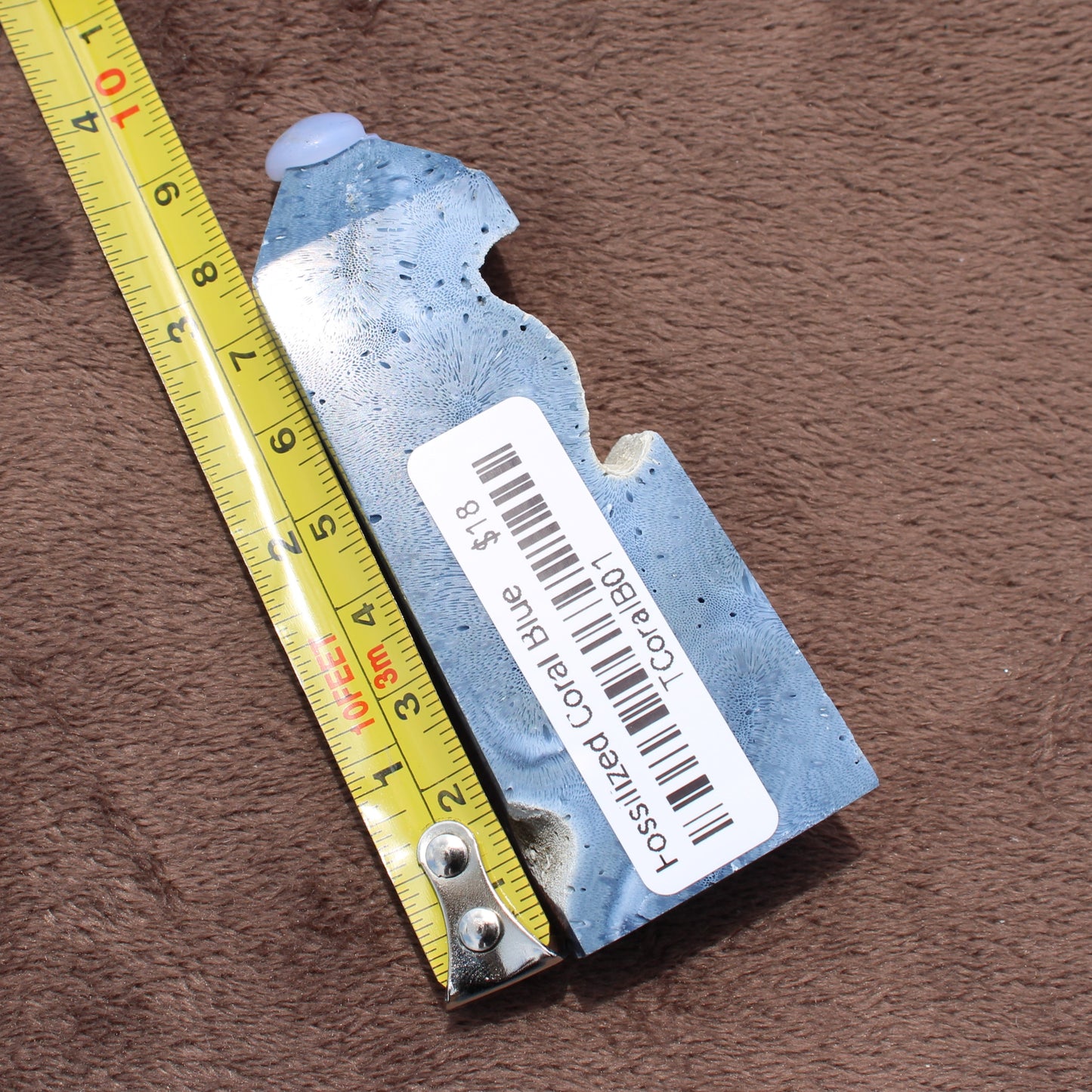Blue Fossilized Coral Tower crystal from Different Branches LLC measured next to yellow tape measure
