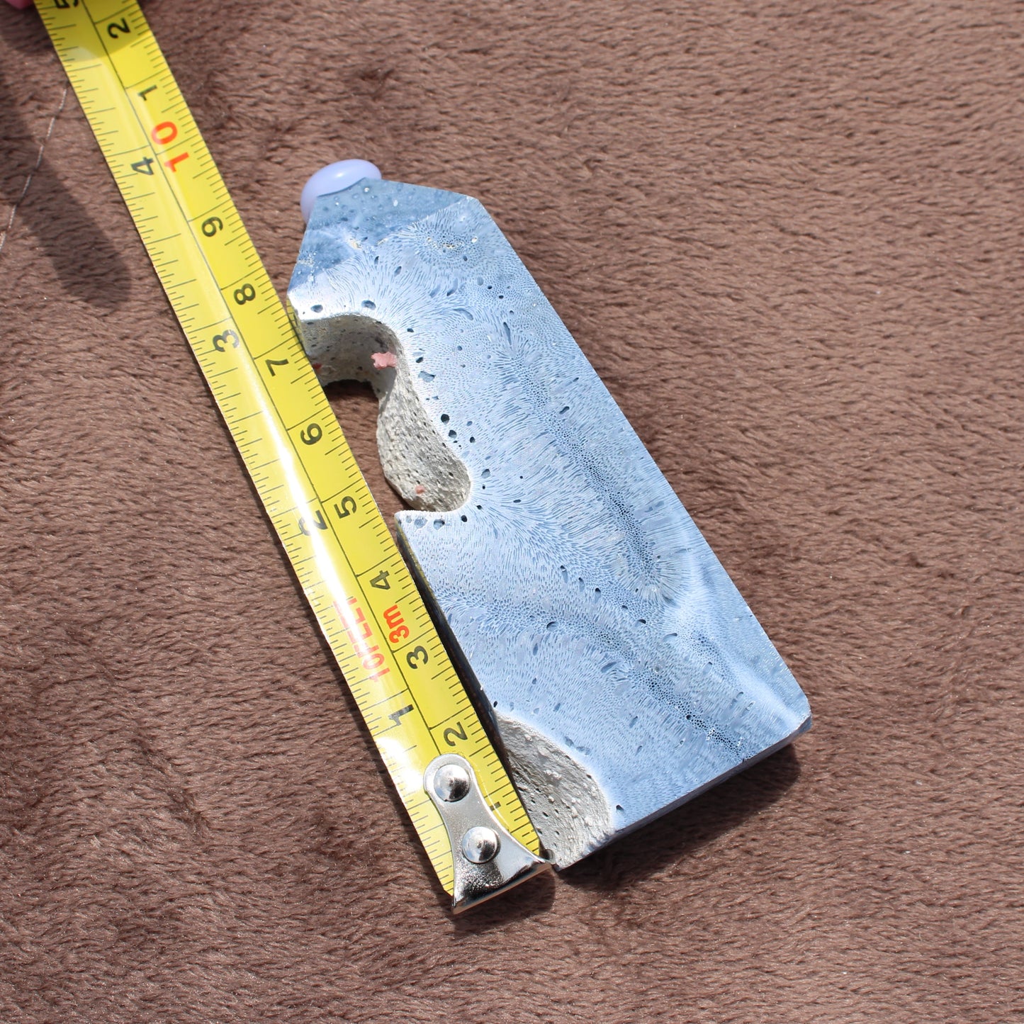 Blue Fossilized Coral Tower crystal measuring about 6 inches on a brown surface with a yellow measuring tape