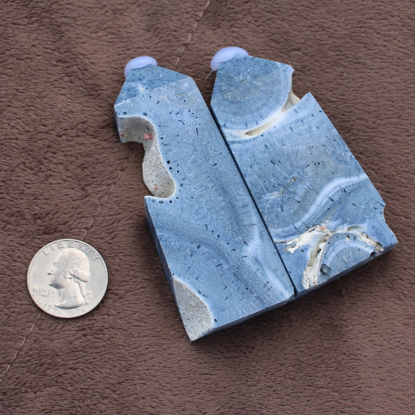 Blue Fossilized Coral Tower crystal pieces with natural patterns next to a US quarter for size reference