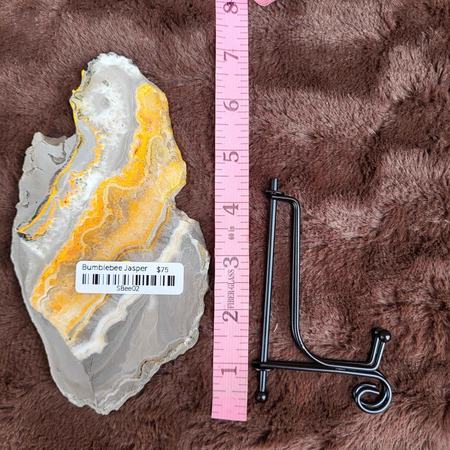 Bumblebee Jasper Slabs displayed with a ruler for size comparison and a black metal display stand