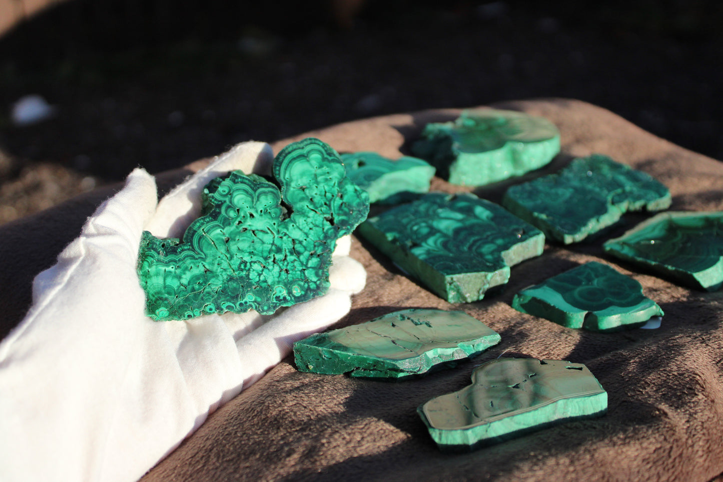 Hand holding a vibrant malachite slab with various malachite slabs displayed in the background