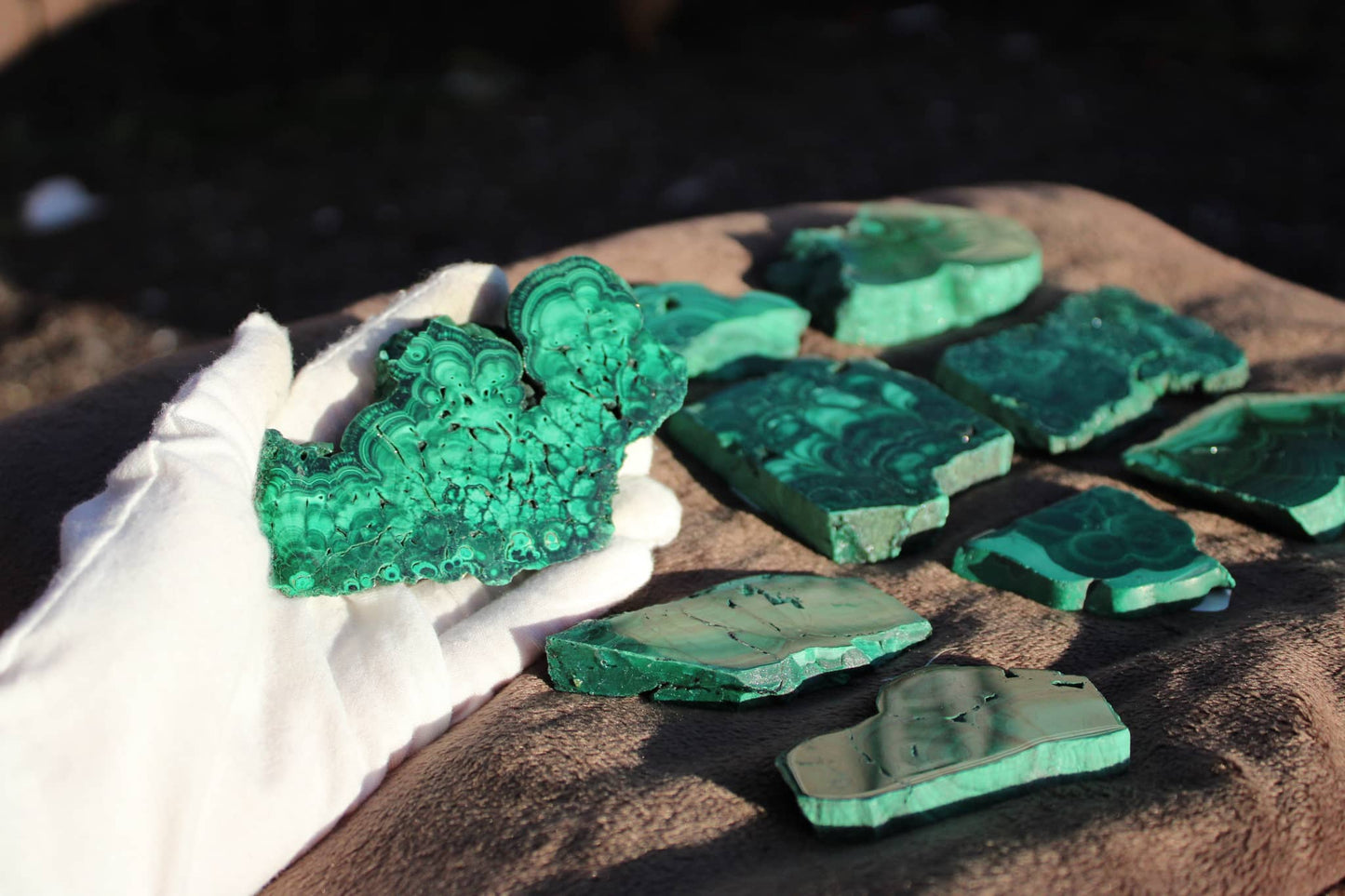 Hand holding a vibrant malachite slab with various malachite slabs displayed in the background