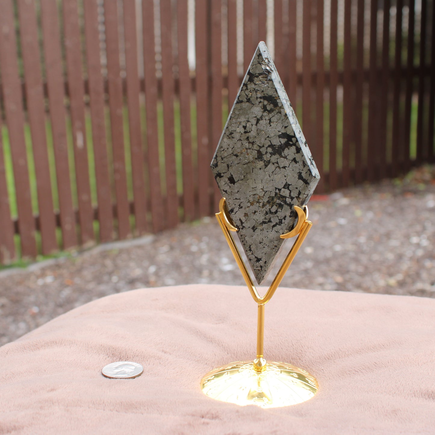 Pyrite Diamond crystal with metallic gold and silver flecks displayed on a gold stand by Different Branches LLC
