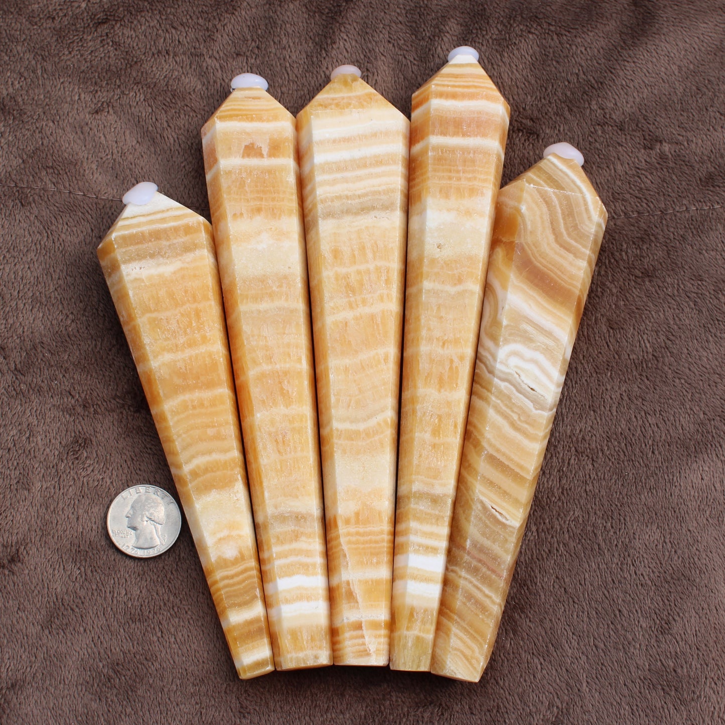 Set of five polished Honey Calcite Wand crystals with layered orange and white bands next to a quarter for size