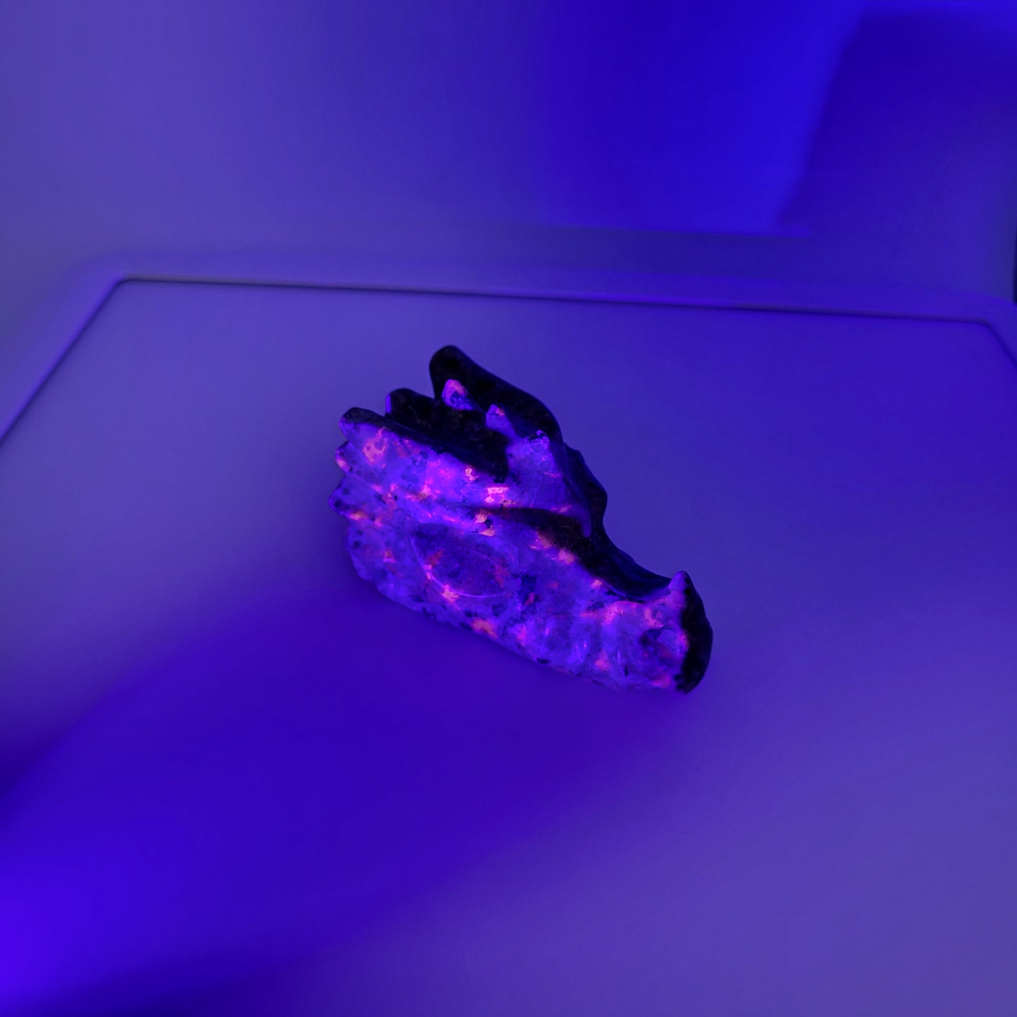 Yooperlight dragon head sculpture illuminated with vibrant purple light against a dark background