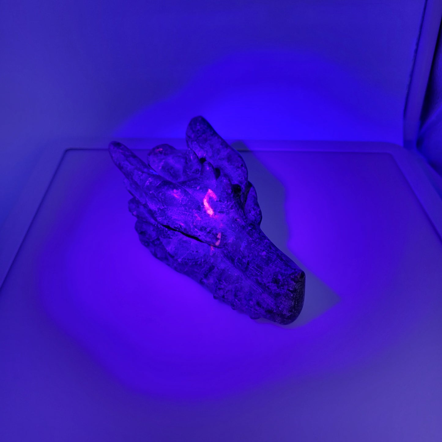 Yooperlight dragon head sculpture glowing under purple light, showcasing intricate details and texture