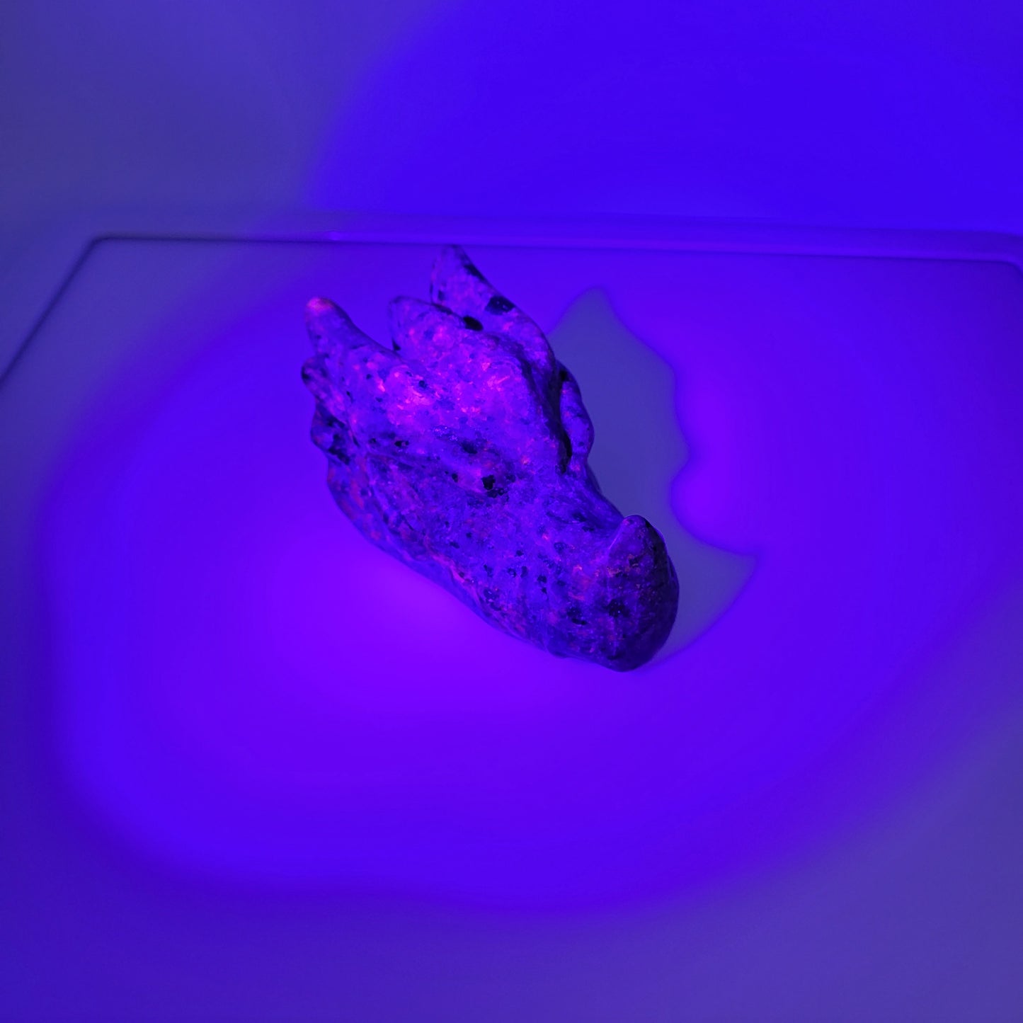 Yooperlight dragon head sculpture glowing under UV light with vibrant purple hues