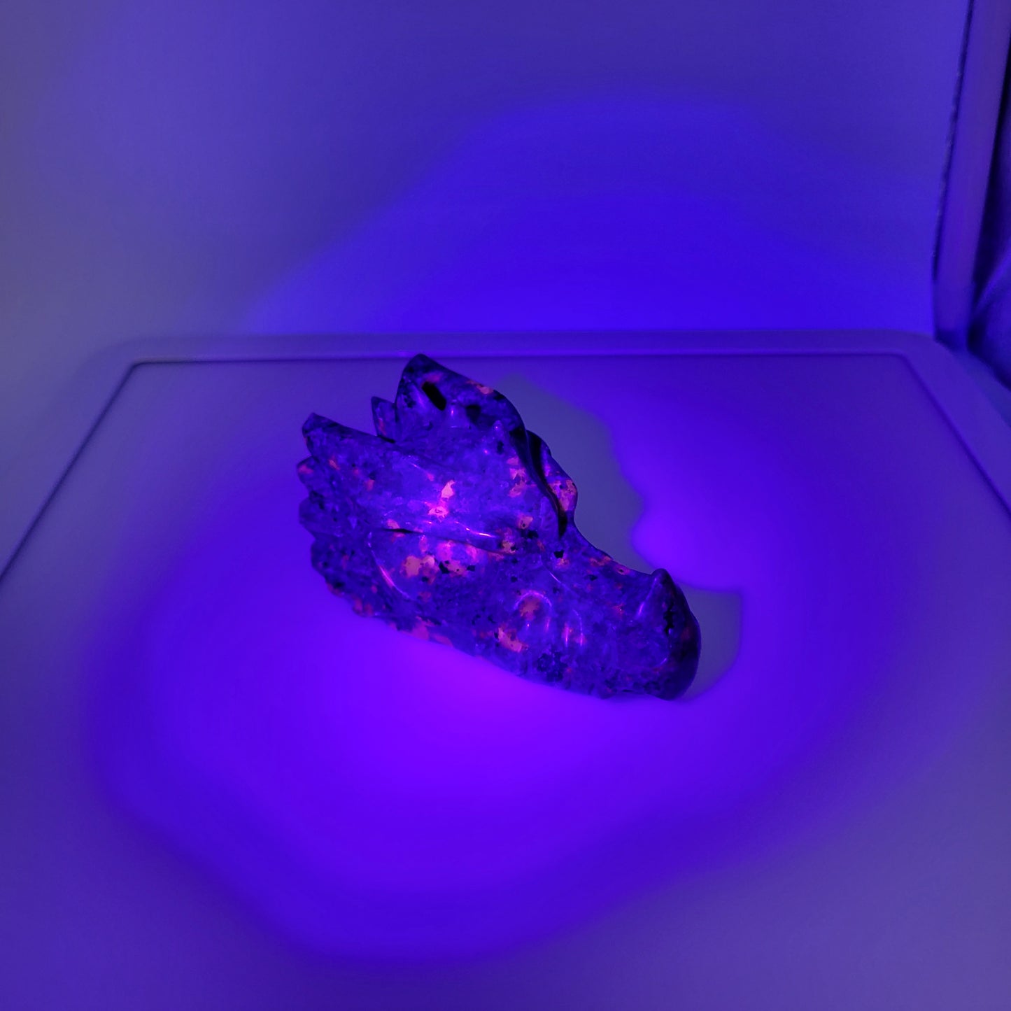My Store Yooperlight dragon head sculpture glowing with purple light on a display surface