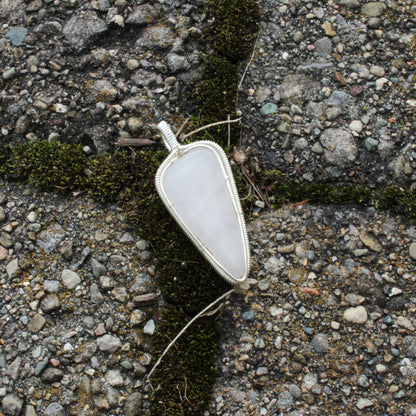 Sabor tooth quartz - White quartz- American Mined