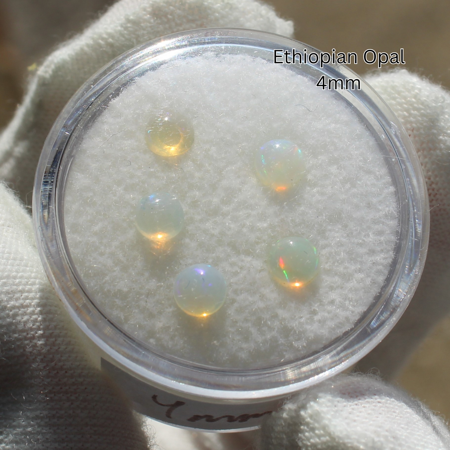 Ethiopian opal 4mm cabochons in clear container on white foam held in gloved hand Made to order rings