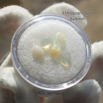 Ethiopian opal 6x4mm cabochons in clear display case on white glove for Made to order rings