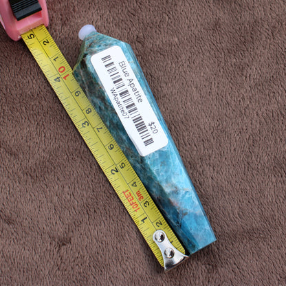 Blue Apatite Wand crystal measuring approximately 5 inches on a yellow tape measure