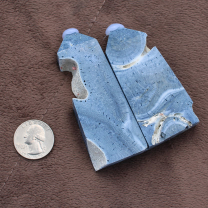 Blue Fossilized Coral Tower crystal pieces with natural patterns next to a US quarter for size reference