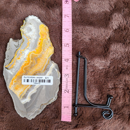 Bumblebee Jasper Slabs displayed with a ruler for size comparison and a black metal display stand