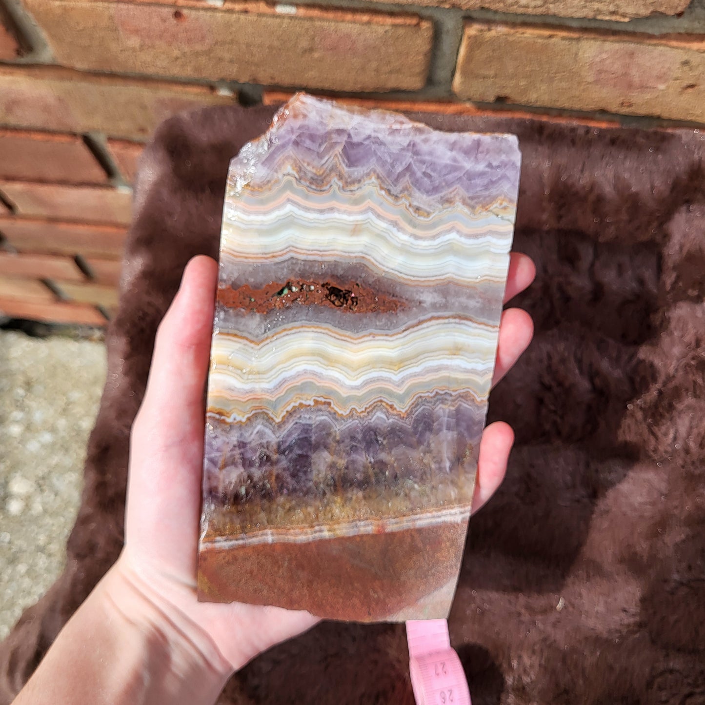 Handheld Crazy lace amethyst slab showcasing stunning purple and white banding patterns