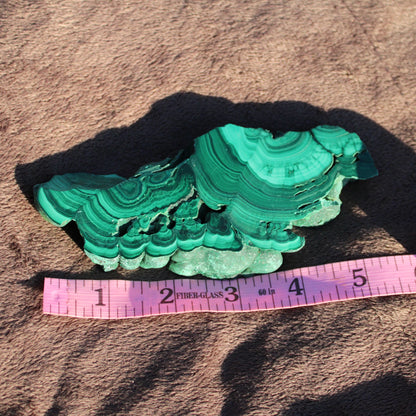 Natural Malachite slab with vibrant green layers and unique textures for home decor or crystal collectors