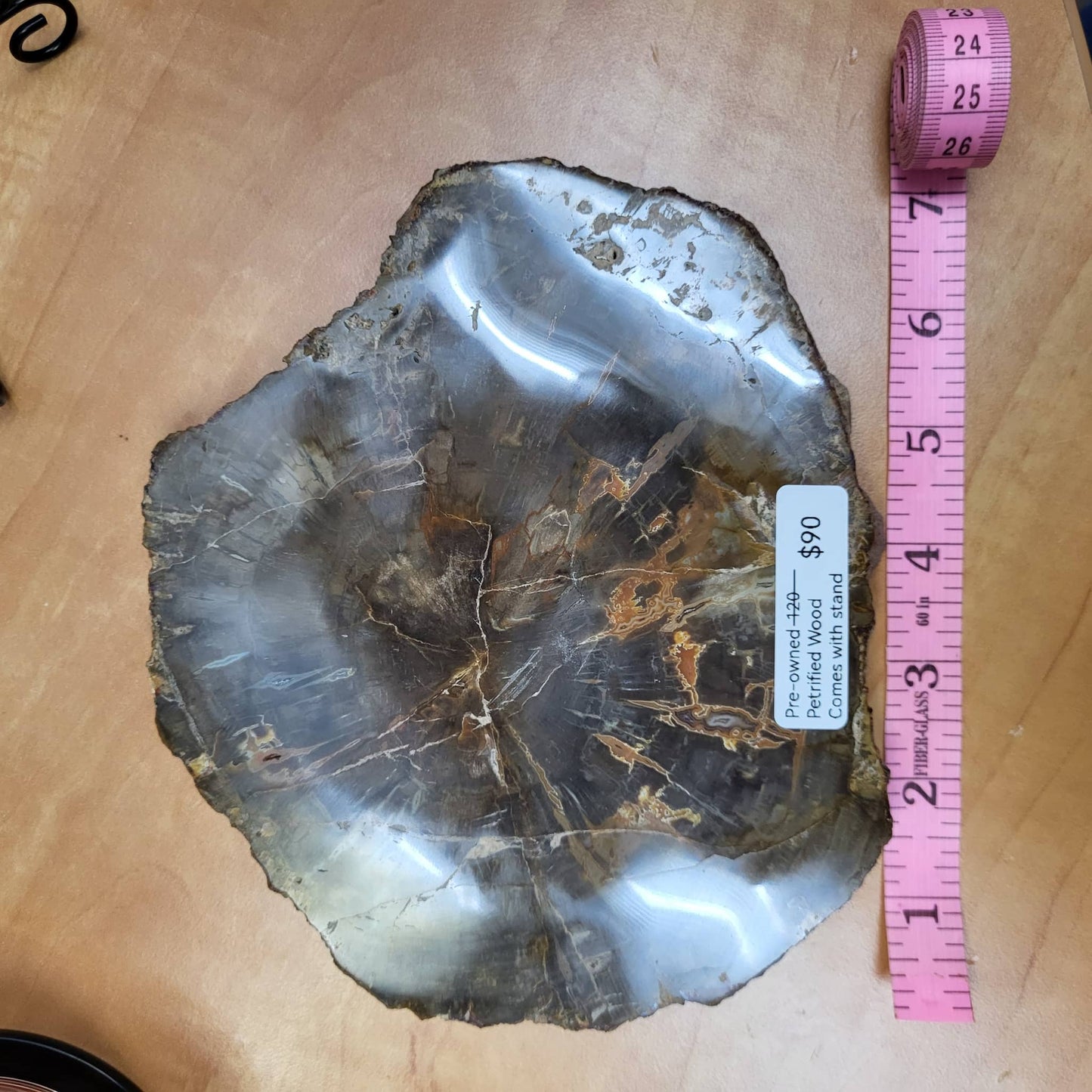 Petrified Wood Slab with Stand on display, showcasing unique natural textures and patterns