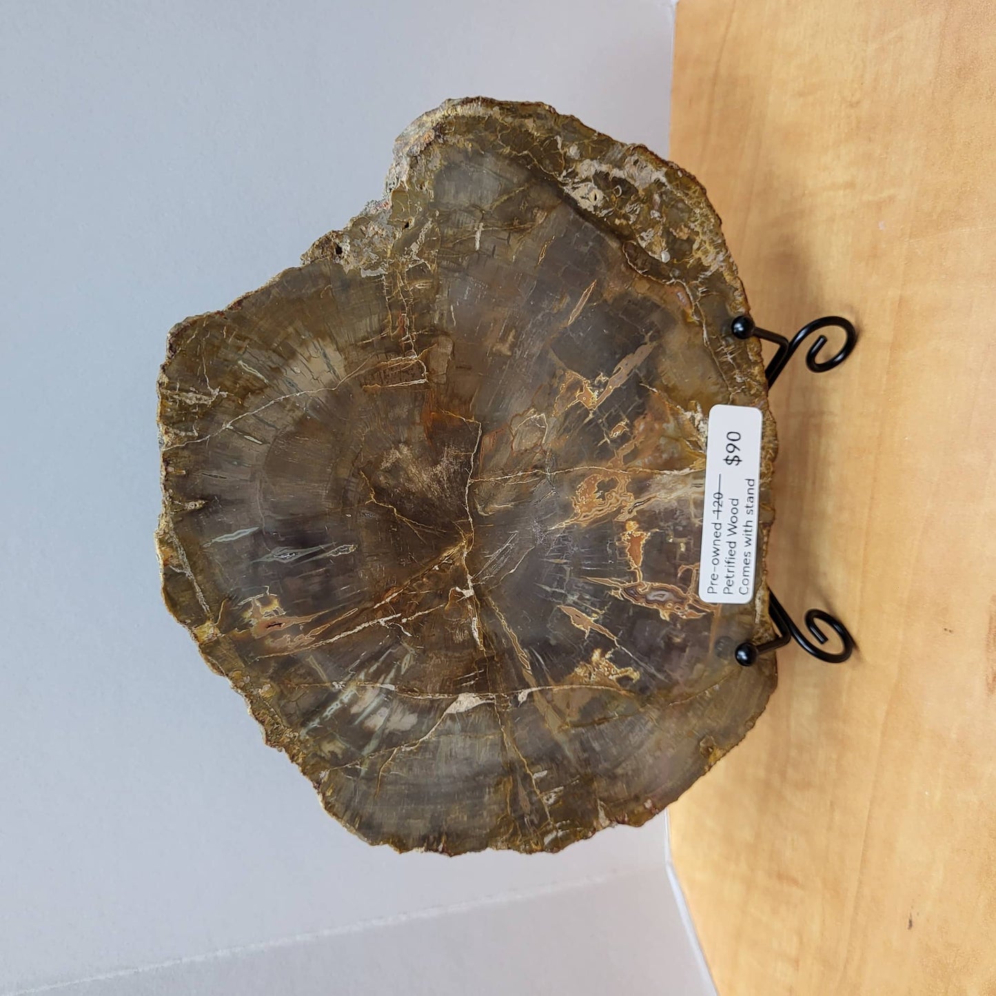 Petrified Wood Slab with Stand displayed on a black iron holder at a crystal gift shop