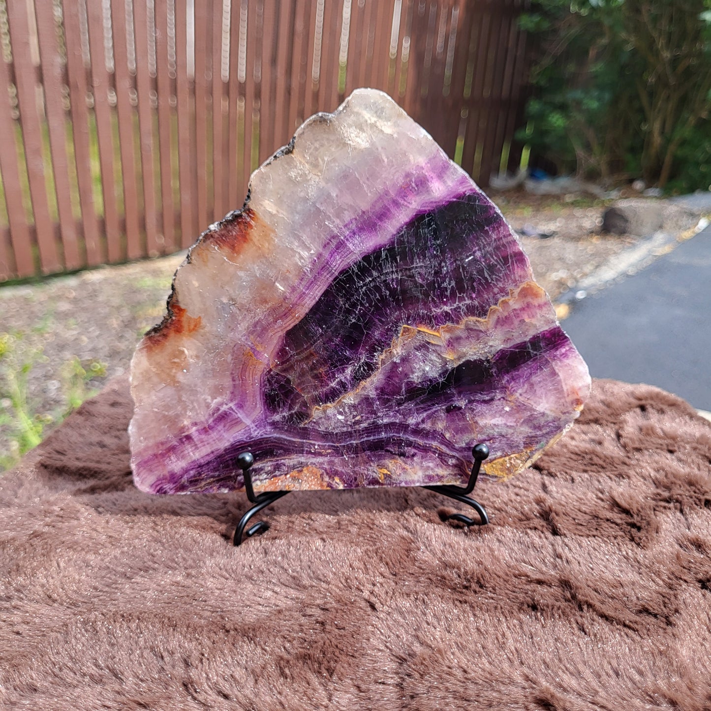 Rainbow Flourite Slab displayed on a black stand with vibrant purple and green patterns