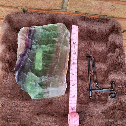 Rainbow Fluorite Slab with Vibrant Green and Purple Colors, Displayed with a Measuring Tape