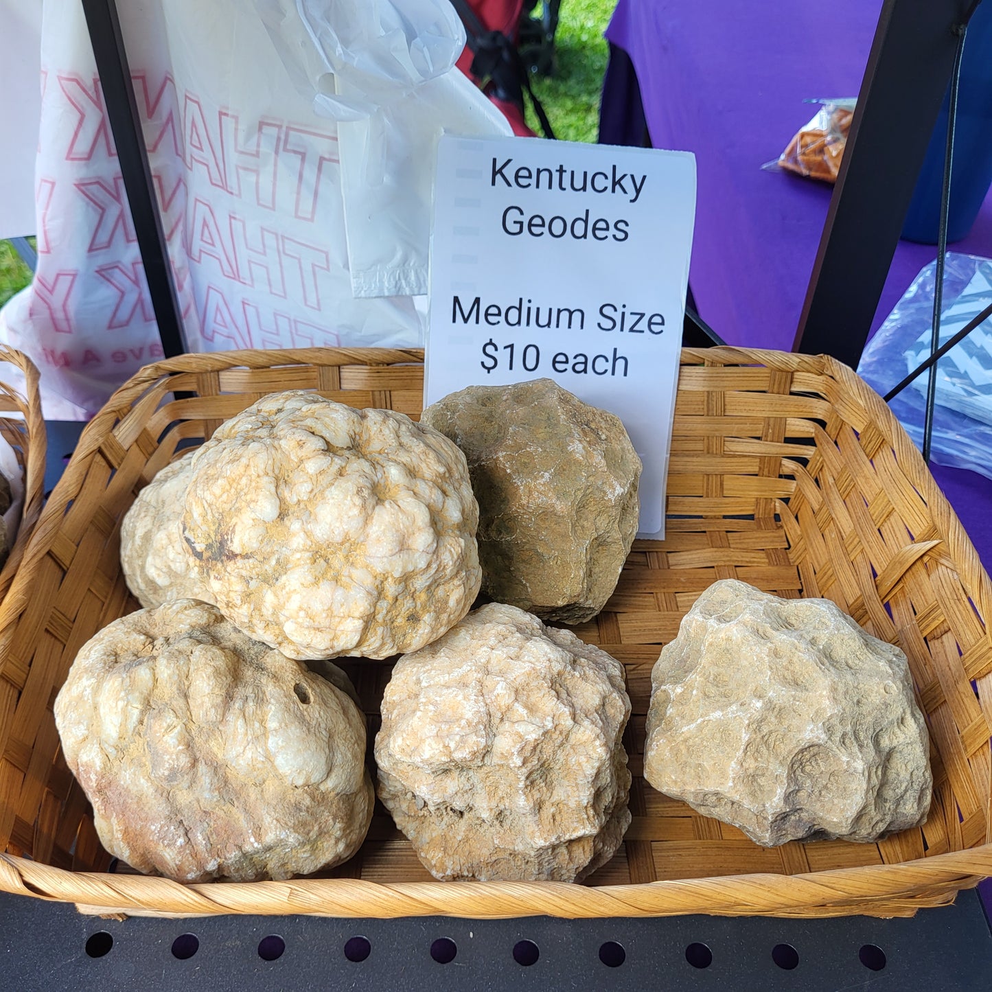 American mined Kentucky geodes - crack your own geodes at home!