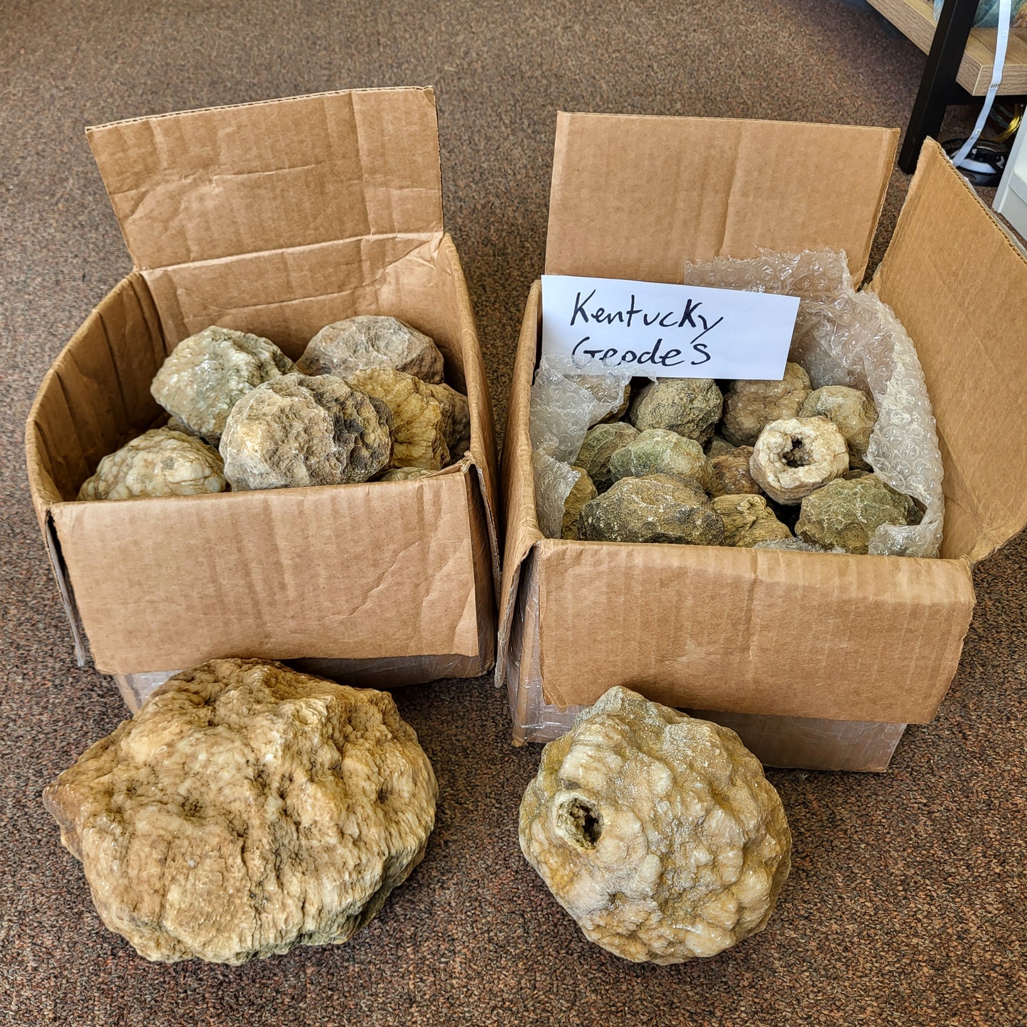 American mined Kentucky geodes - crack your own geodes at home!