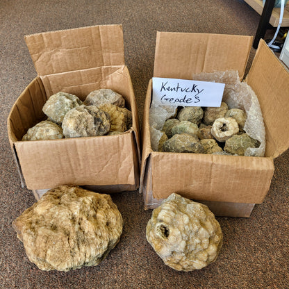 American mined Kentucky geodes - crack your own geodes at home!