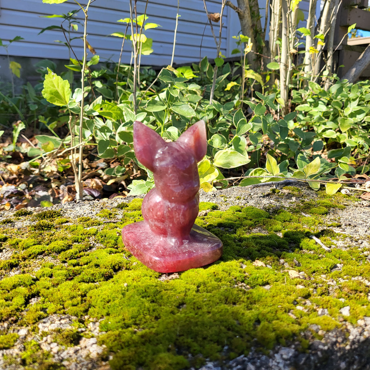 15oz Strawberry Quartz Eevee