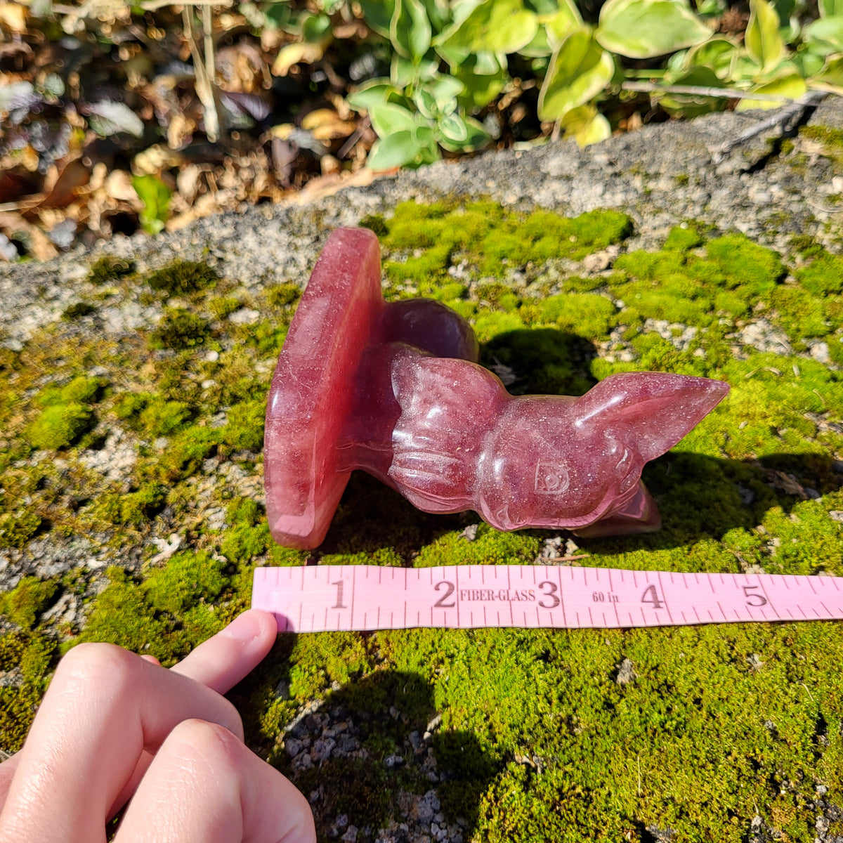 15oz Strawberry Quartz Eevee