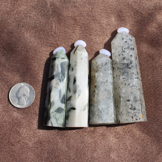 Four polished Tourmalited Quartz Tower crystals of varying sizes next to a quarter for scale