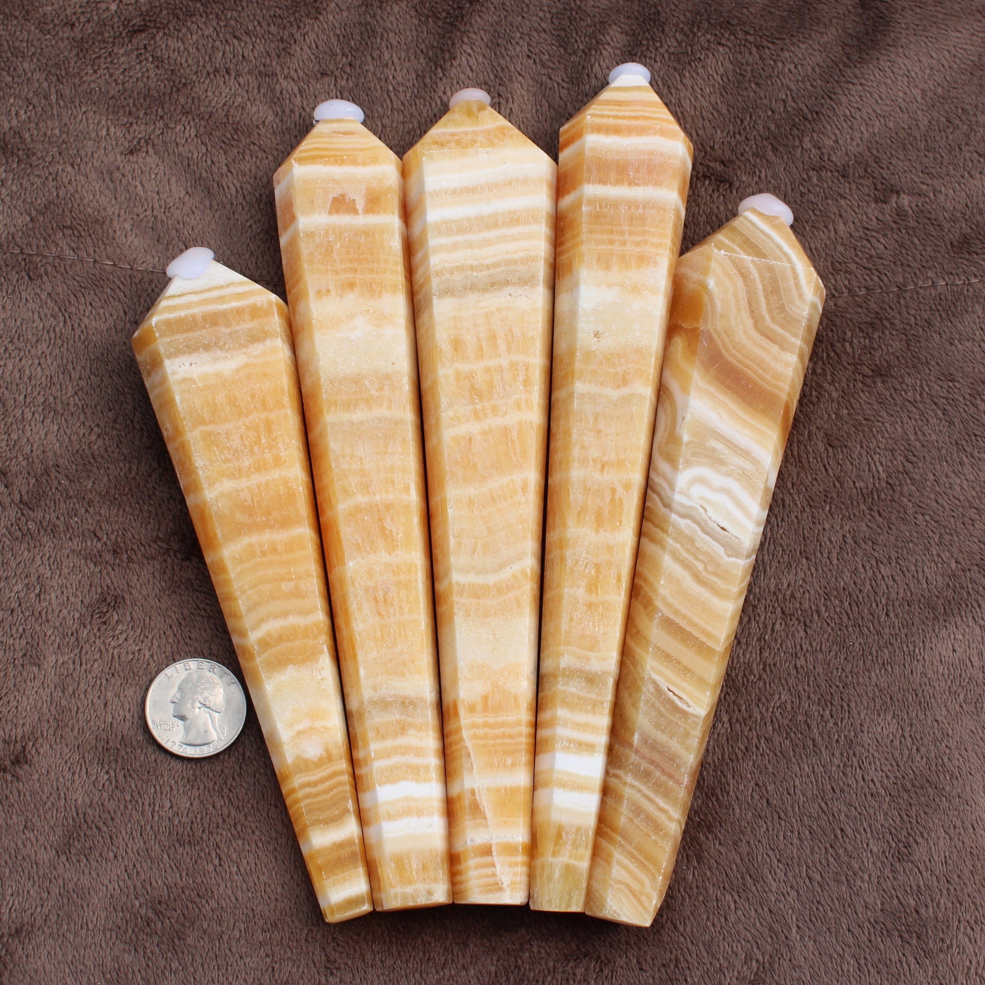 Set of five polished Honey Calcite Wand crystals with layered orange and white bands next to a quarter for size
