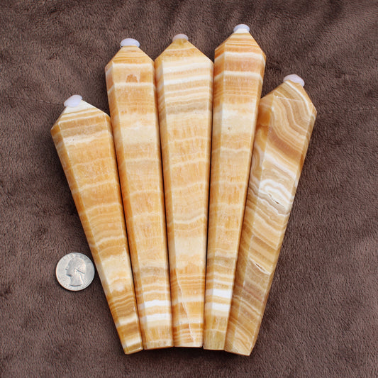 Set of five polished Honey Calcite Wand crystals with layered orange and white bands next to a quarter for size